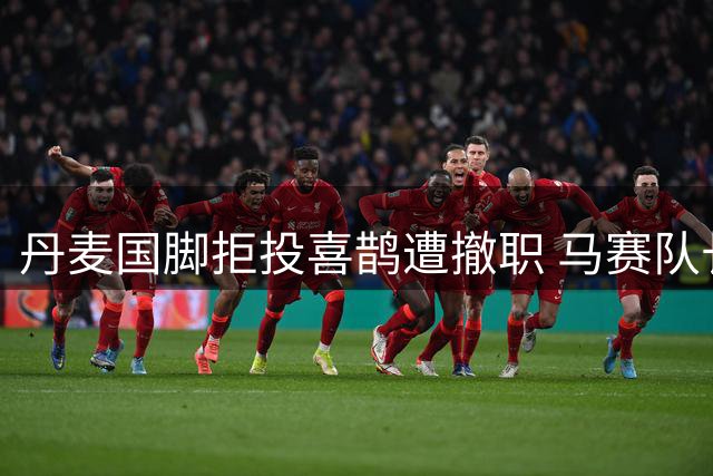 丹麦国脚拒投喜鹊遭撤职 马赛队长易主维阿